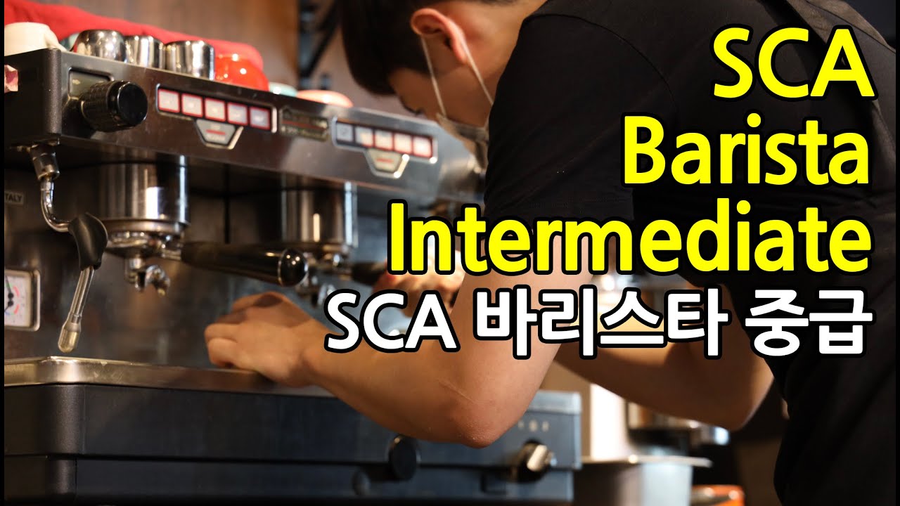 [SUB] SCA 커피 바리스타 중급 자격증 교육 | SCA Coffee Barista intermediate Course by CoffeeBuy