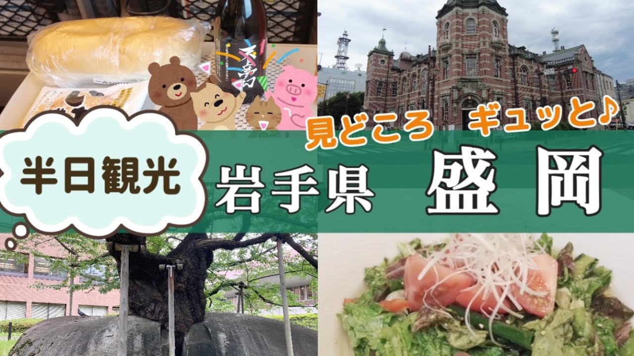 【半日観光👒】岩手県盛岡❣️盛岡城跡/岩手銀行赤レンガ館/もりおか啄木・賢治青春館/福田パン/ぴょんぴょん舎/お茶と鉄瓶engawa/啄木新婚の家🏠【大人女子ひとり旅🎒】