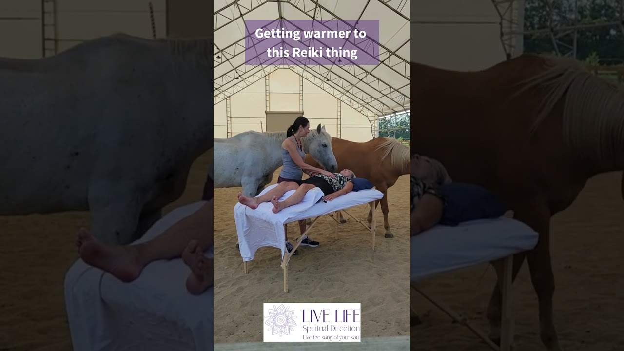 What happens when you introduce horses to Reiki?