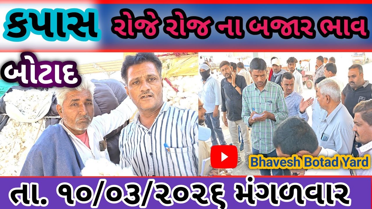 આજે કપાસ માં તેજી નો માહોલ 10/03/2026 || Botad Marketing Yard ||#bhaveshbotadyard