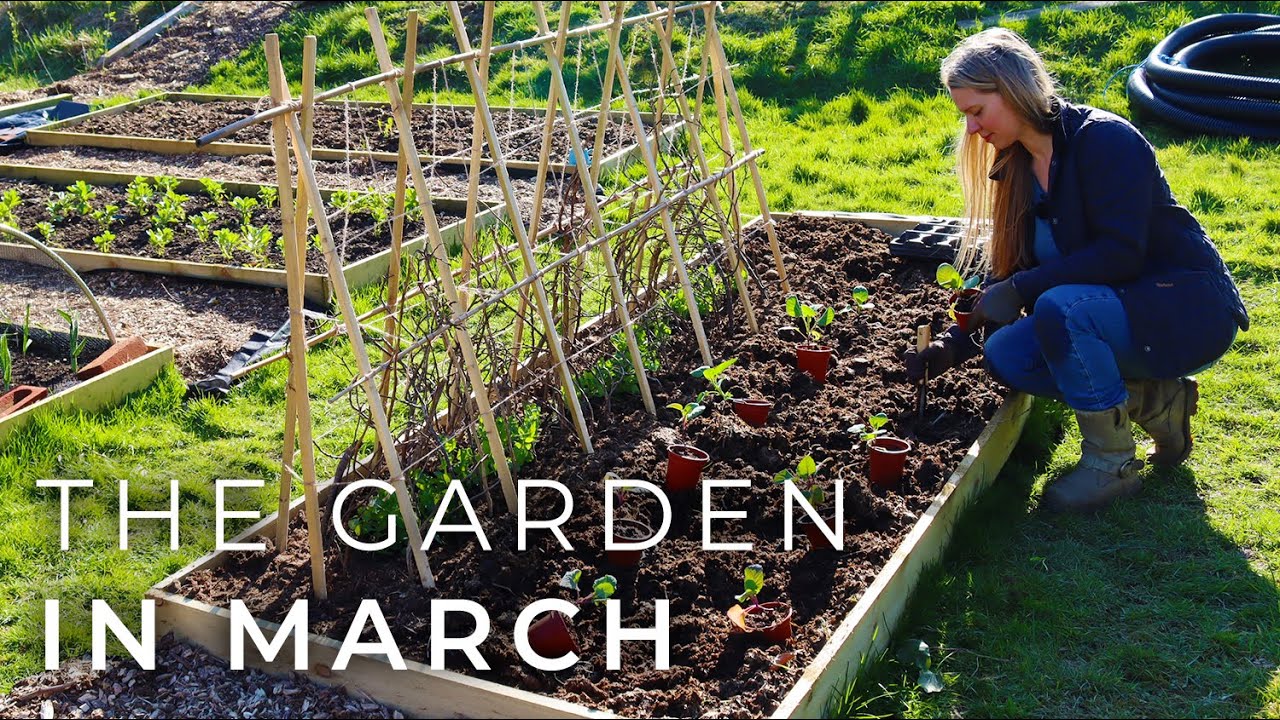 The Garden in March