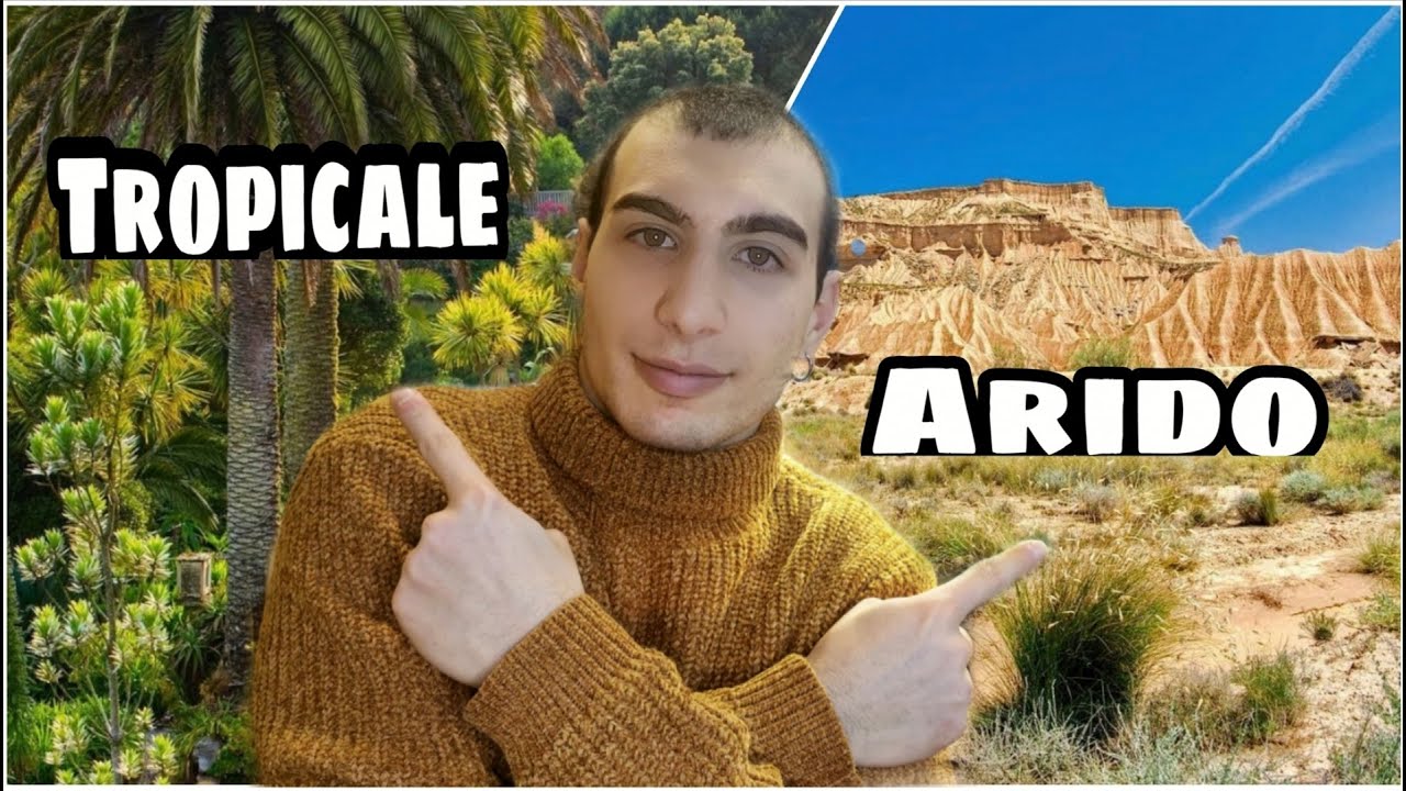 TUTTE LE MIGLIORI PIANTE per OGNI TERRARIO! 🌱🌴