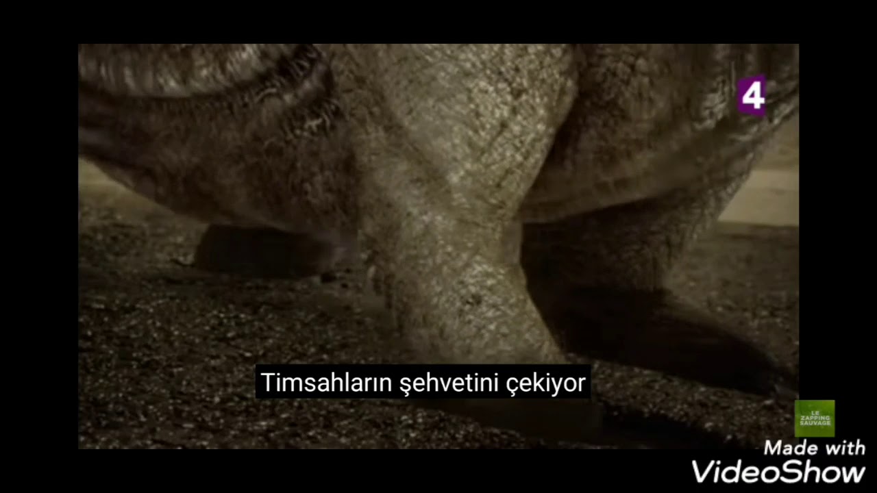 paralititan vs sarcosuchus