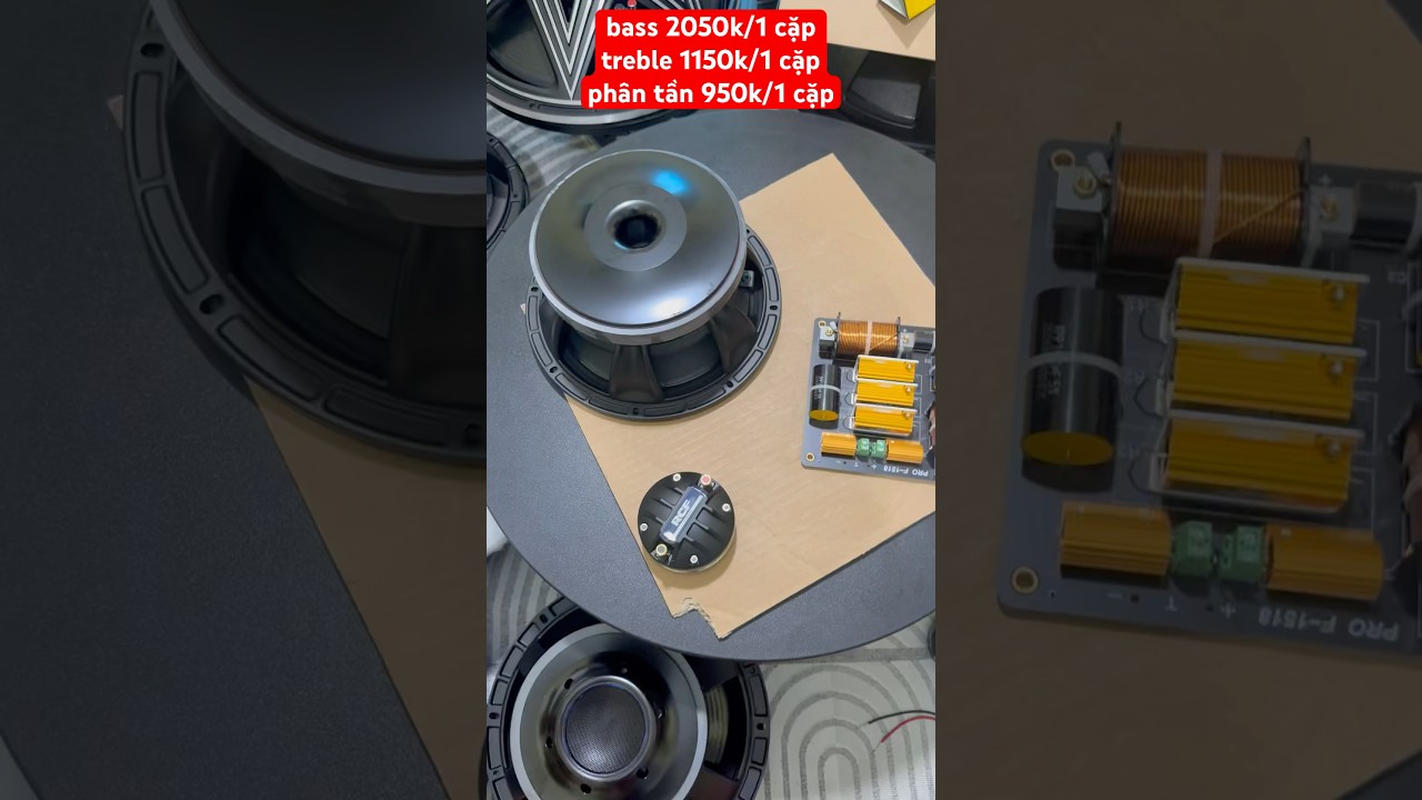 combo loa bass 25 nr350a từ 190 coil 76 l&ecirc;n th&ugrave;ng cực hay