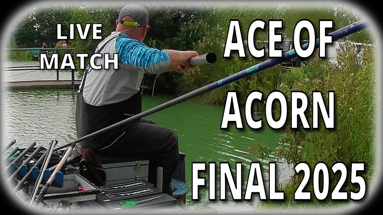 ACE OF ACORN FINAL 2025