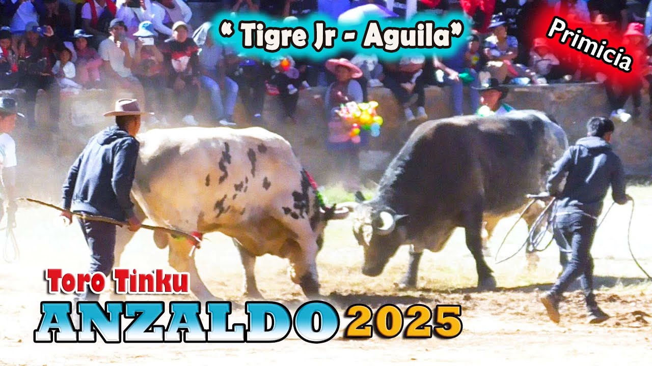 ANZALDO 2025- Toro Tinku, Encuentro 