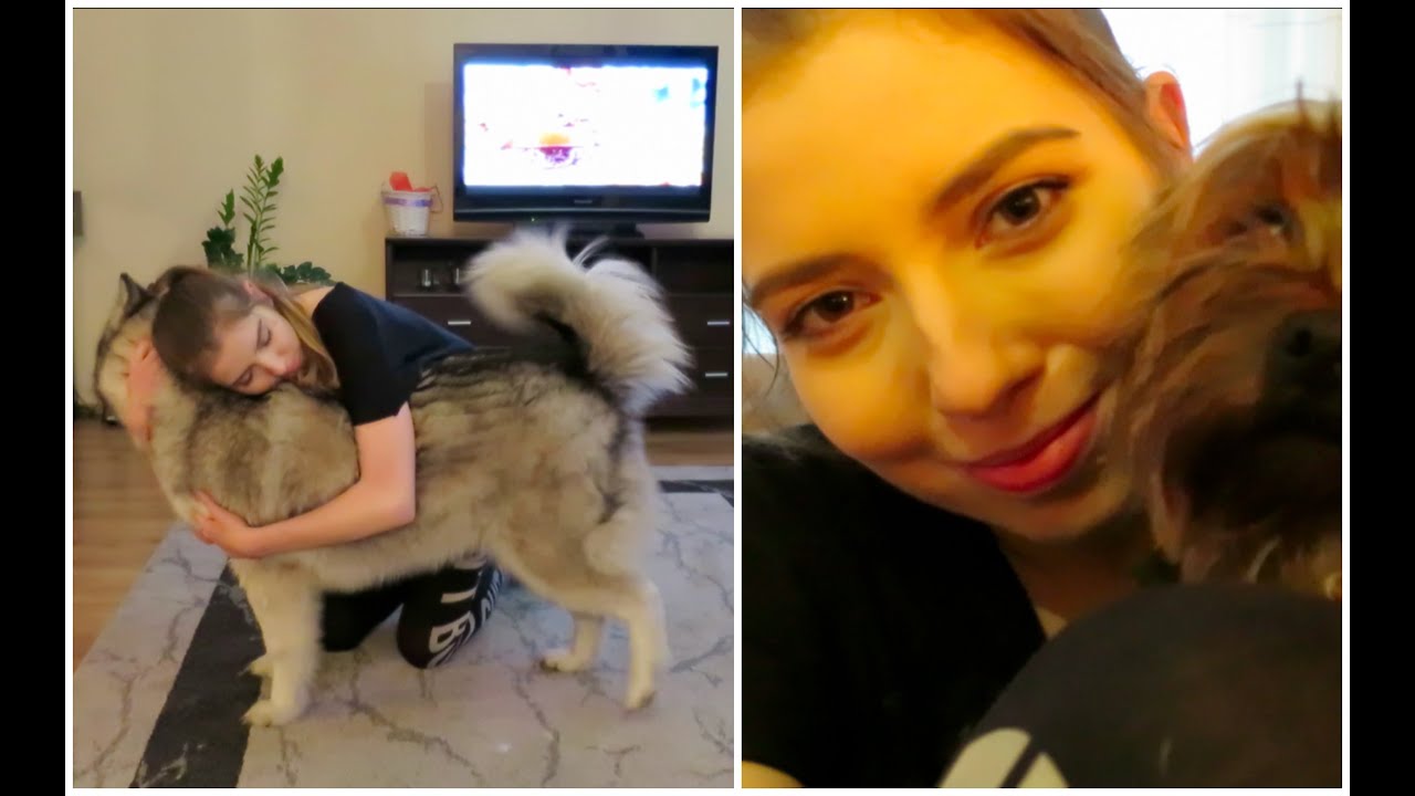 VLOGMARC DZIEŃ 31 TO KONIEC !