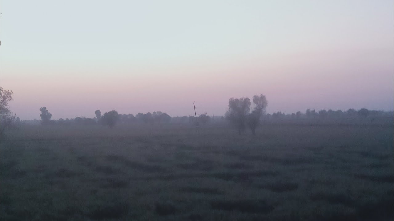 . Neerav best bhakti  is live!,,, good morning 🤗 radhe radhe.....❤️❤️❤️