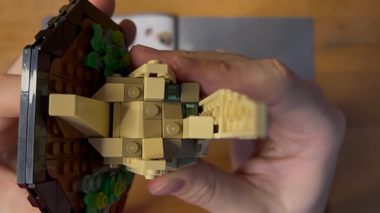 LEGO Insect Collection | Beetle Base | Cozy Build | Unedited