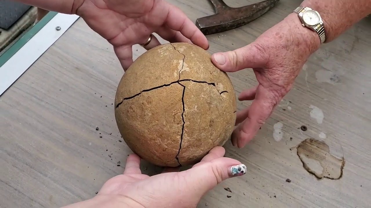 Breaking open Grandma's sandstone rock from 45 years ago *FOSSIL INSIDE*