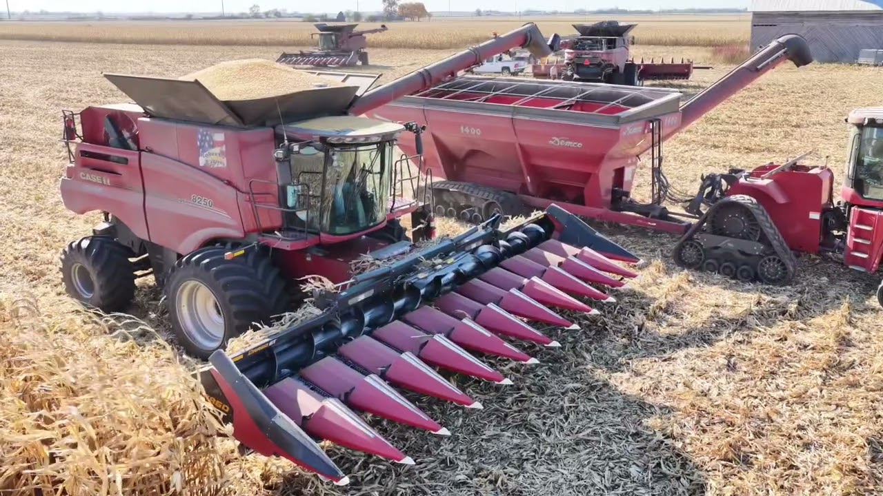 Демонстрация комбайна Case IH AF10 2025 года — два припаркованных комбайна 8250