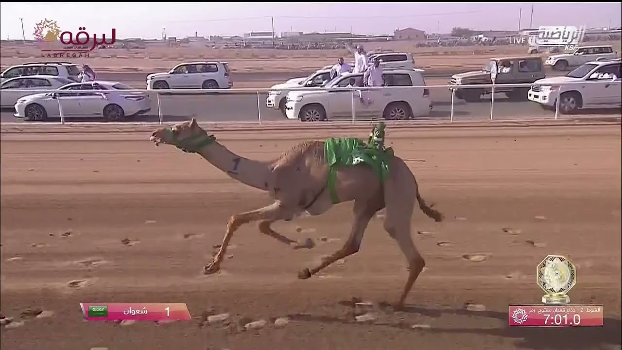 ش2 شعوان لـ صاحب السمو الملكي الأمير تركي بن محمد بن فهد بن عبدالعزيز آل سعود- كأس الجذاع 7:39:35ا