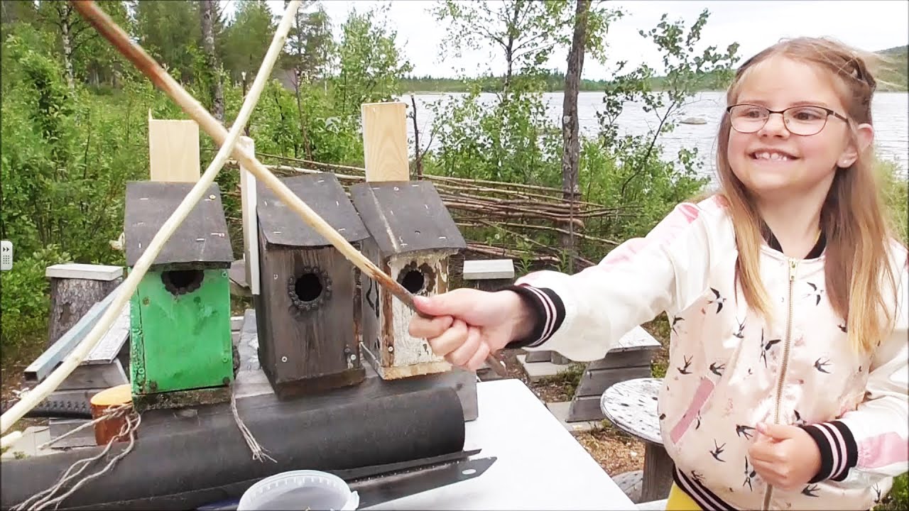 Lagar fågelholkar - Restoring birdhouses at the cabin
