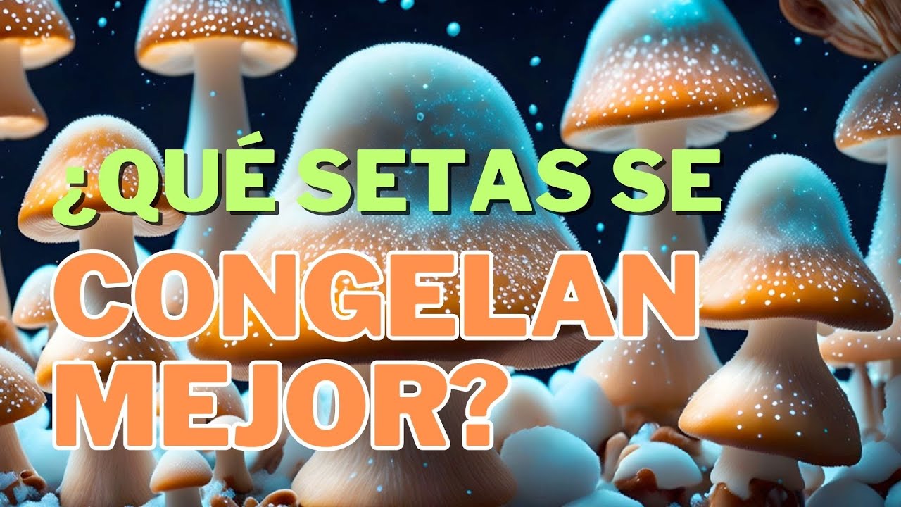 &iquest;Qu&eacute; setas se CONGELAN MEJOR? | TRUCO conservar hasta 1 a&ntilde;o