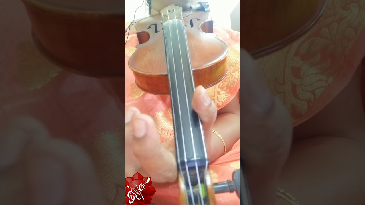 97.Adamodi.. Lesson.. eviolinguru. com