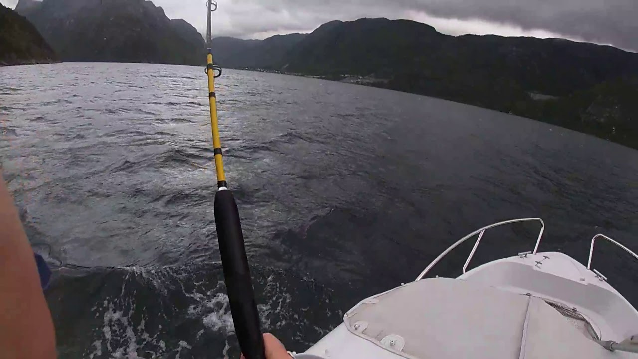 Dorging Laks. 10,18 kg Høgsfjord 30.5 2019
