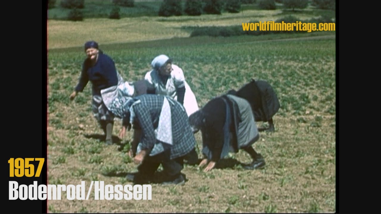 1957 Bodenrod - Hessen (color) - Dorf u. Landwirtschaft