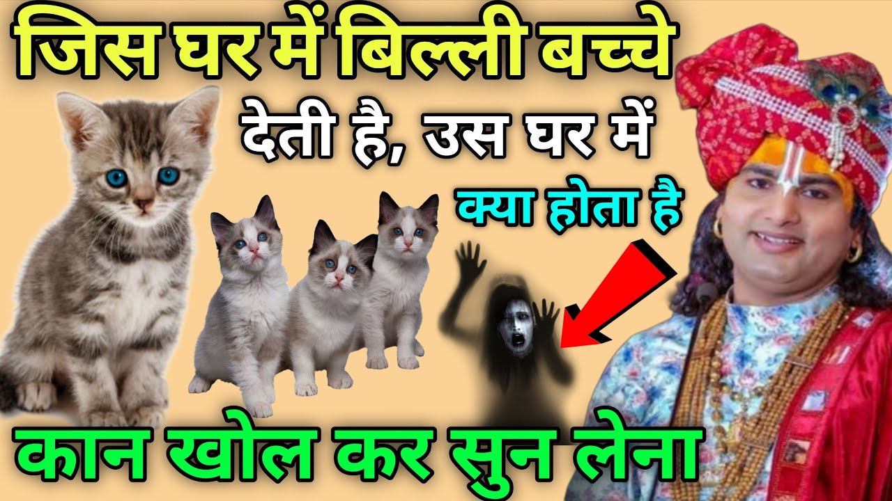 जिस घर में बिल्ली 😱 बच्चे दे देती है,उसे घर में 😱 क्या होता है,मेरी बात कान खोल करके सुन लो,Aniruddh