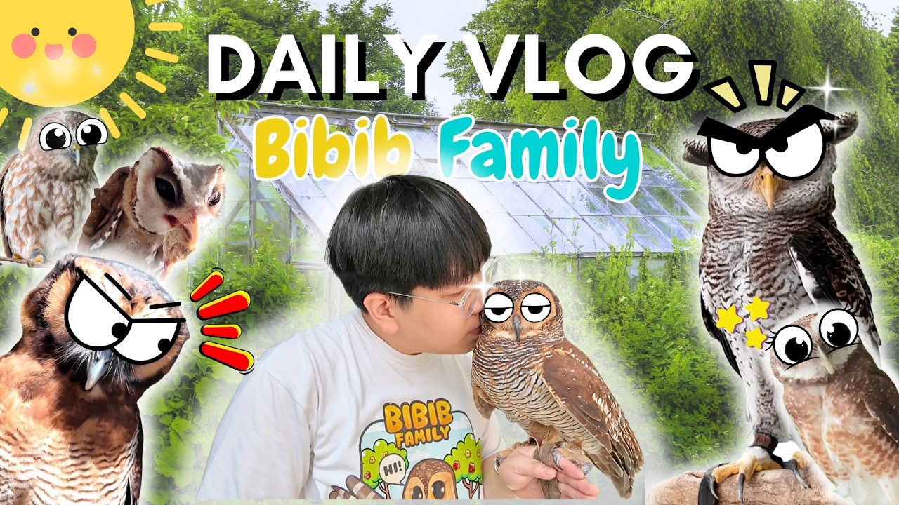 Жизнь с 11 совами! Ежедневный влог семьи Бибиб 🦉
