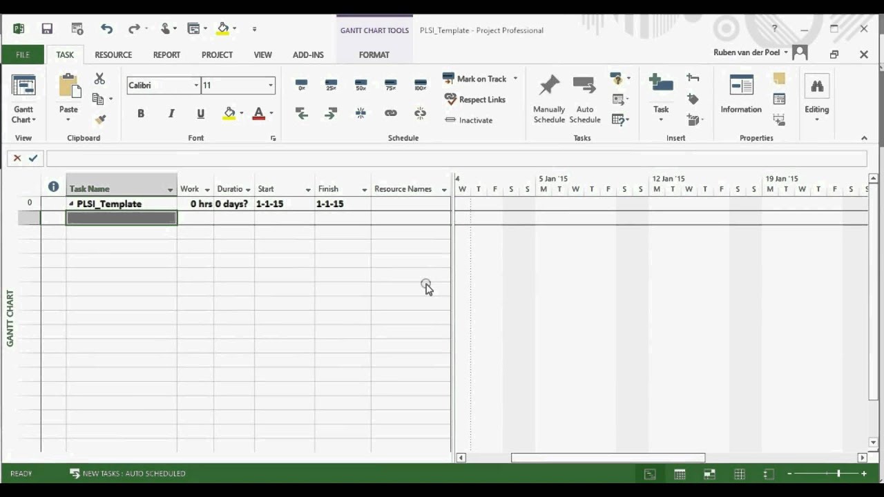 Tour through MS Project