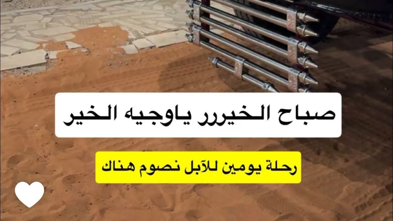 سنابات احمد رحيم( فطور عند الابل )الاثنين 20/ رمضان🌙#احمد_رحيم #اكسبلور 
