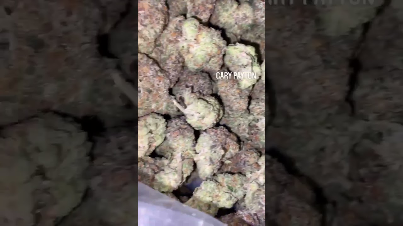 Weed plug California