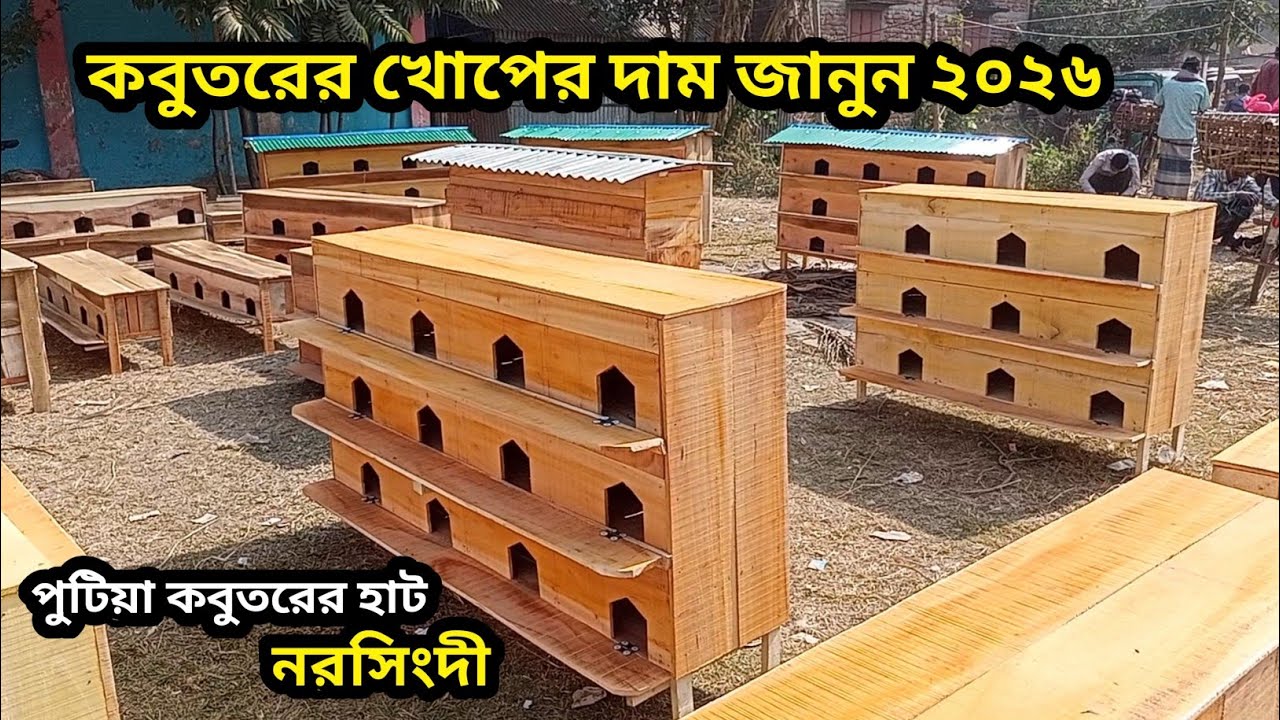 কবুতরের খোপের দাম জানুন | ভালো মানের কবুতরের খোপের দাম কত?  Pigeons cage update price bd today 2026