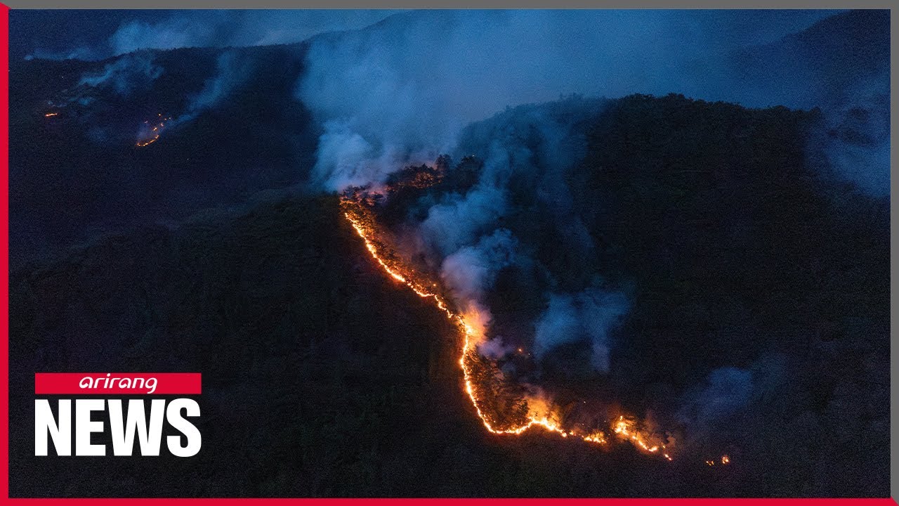 Live from Yeongyang-gun County: At least 27 dead, 32 injured in wildfires burning across S. Korea