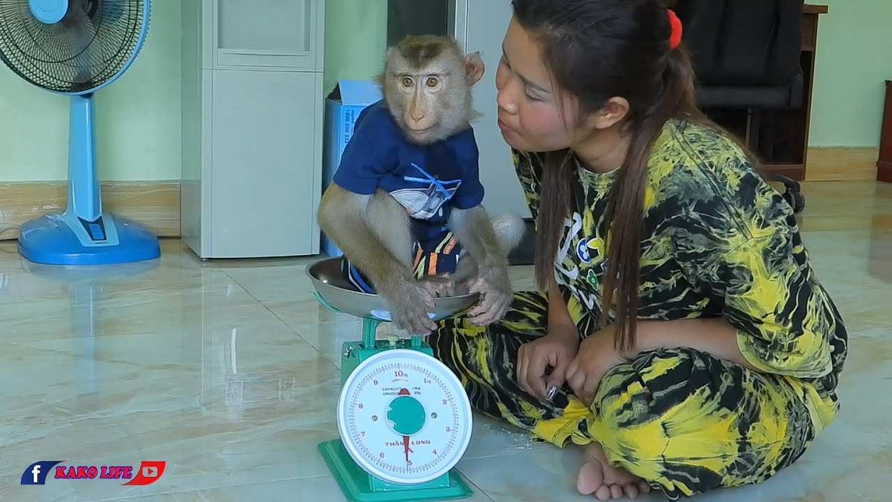 Adorable Kako Was Scale Today Is 5 01kg Almost 4 Year Old