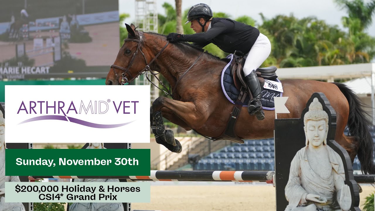 Watch the $200,000 Arthramid CSI4* Holiday & Horses Grand Prix