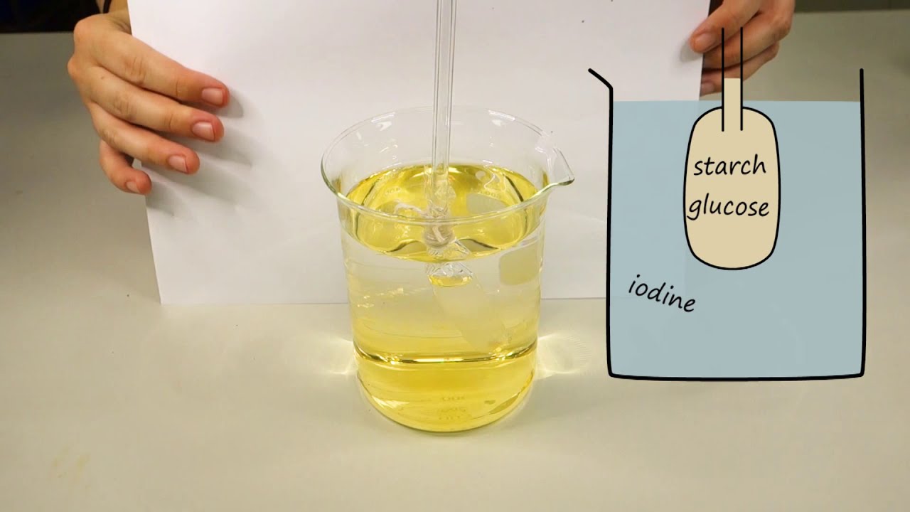 Biology Unit 1: Diffusion across a semi-permeable membrane