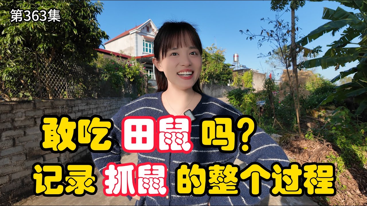 第363集，大家敢吃 田鼠吗？记录在越南 抓老鼠的整个过程!