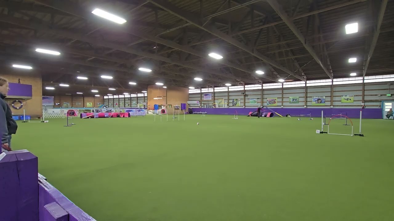 Arlo - Novice Regular (2) 02-22-2026