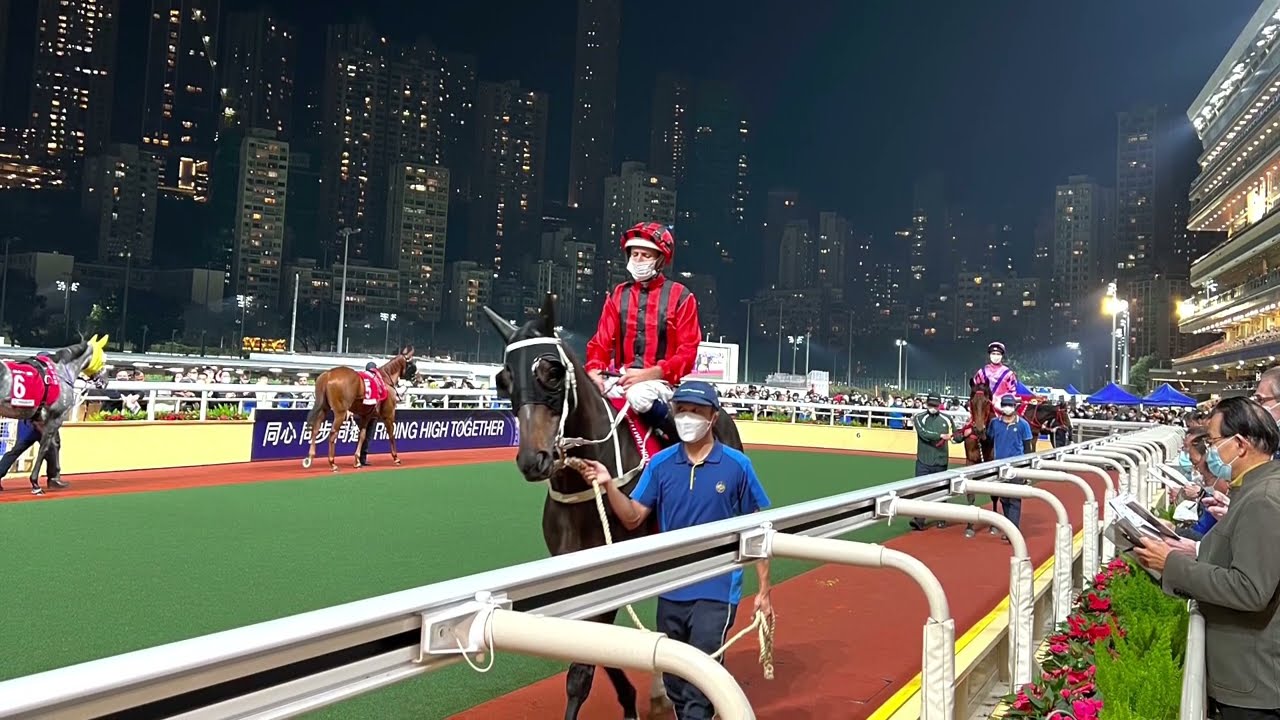 Hong Kong Horse Racing Members Area Experience -  Happy Valley Racecourse