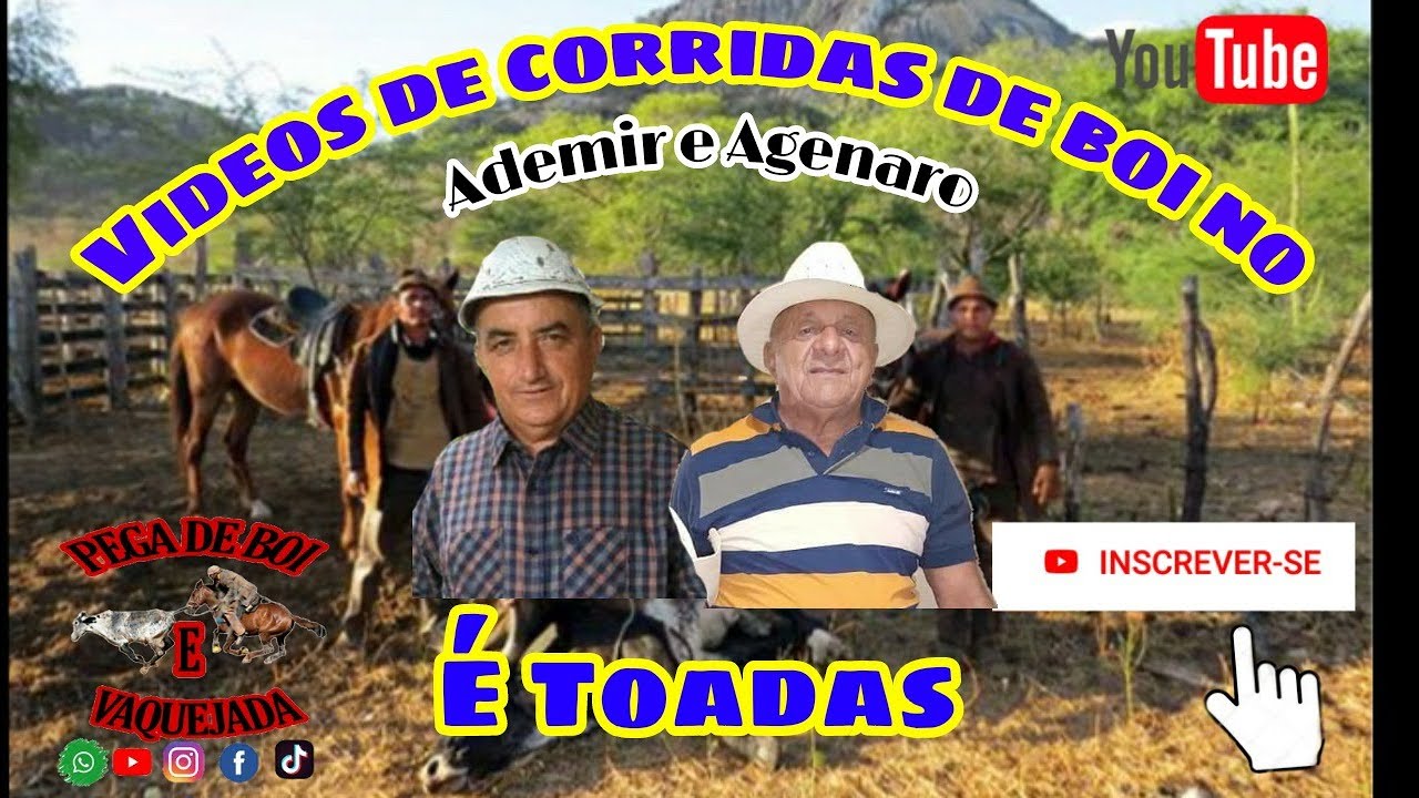 Toadas de Ademir e Agenaro