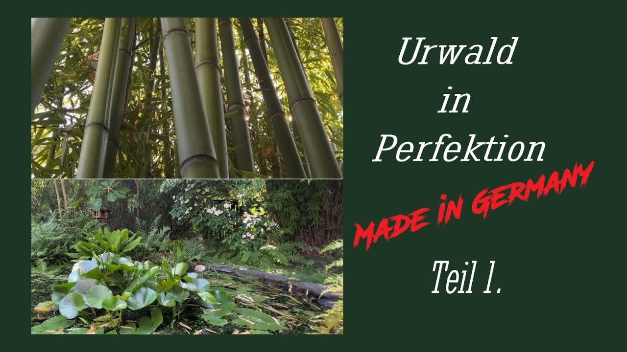 Urwald in Perfektion Teil 1