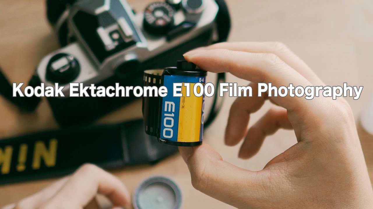 #16 LA 슬라이드 필름 카메라 촬영 브이로그 l Shooting Ektachrome Film in LA