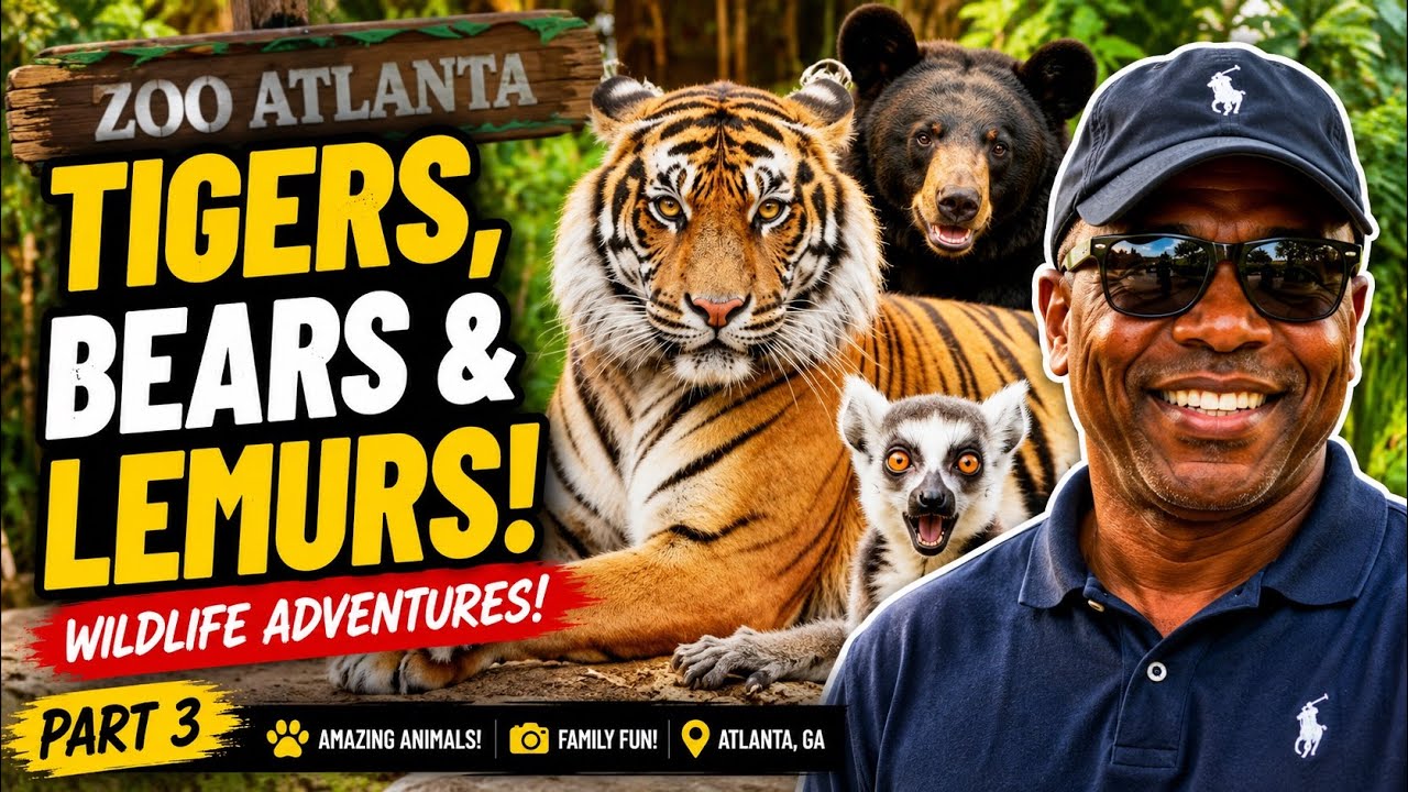 Tigers, Bears & Lemurs! 🐯🐻🦍 | Zoo Atlanta Wildlife Adventures Part 3