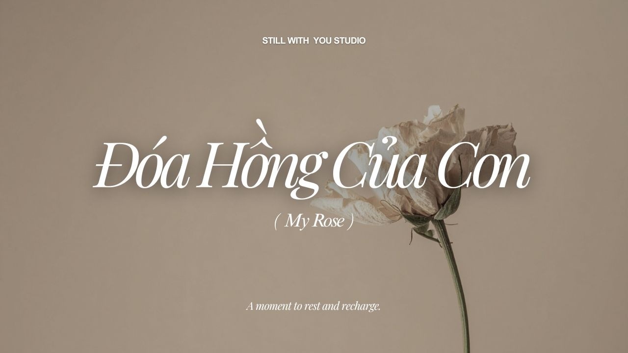 Đóa Hồng Của Con (My Rose) - Version No. 11