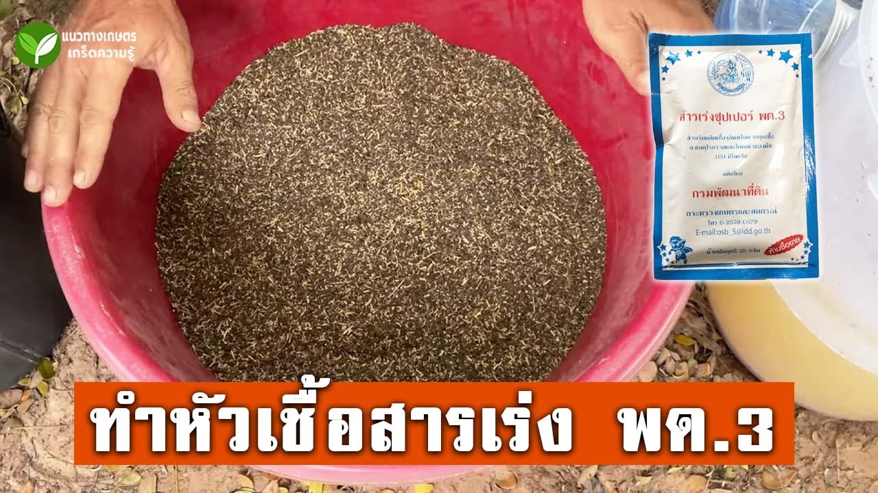 การทำหัวเชื้อสารเร่ง ซุปเปอร์ พด.3