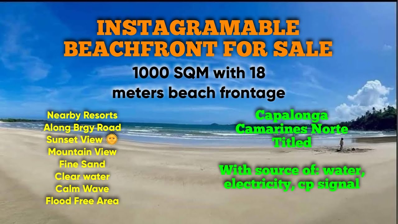 (#100)(SOLD) 1000 SQM Beachfront | ₱1.5Million (all in transfer) | Titled | Updated Tax |