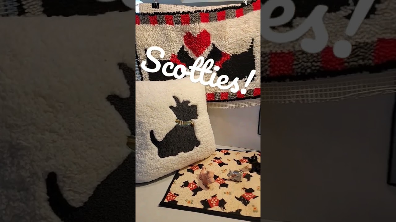 Scotties available for sale-see description. #shorts #scottie #scotties #Scottishterrier #scotty
