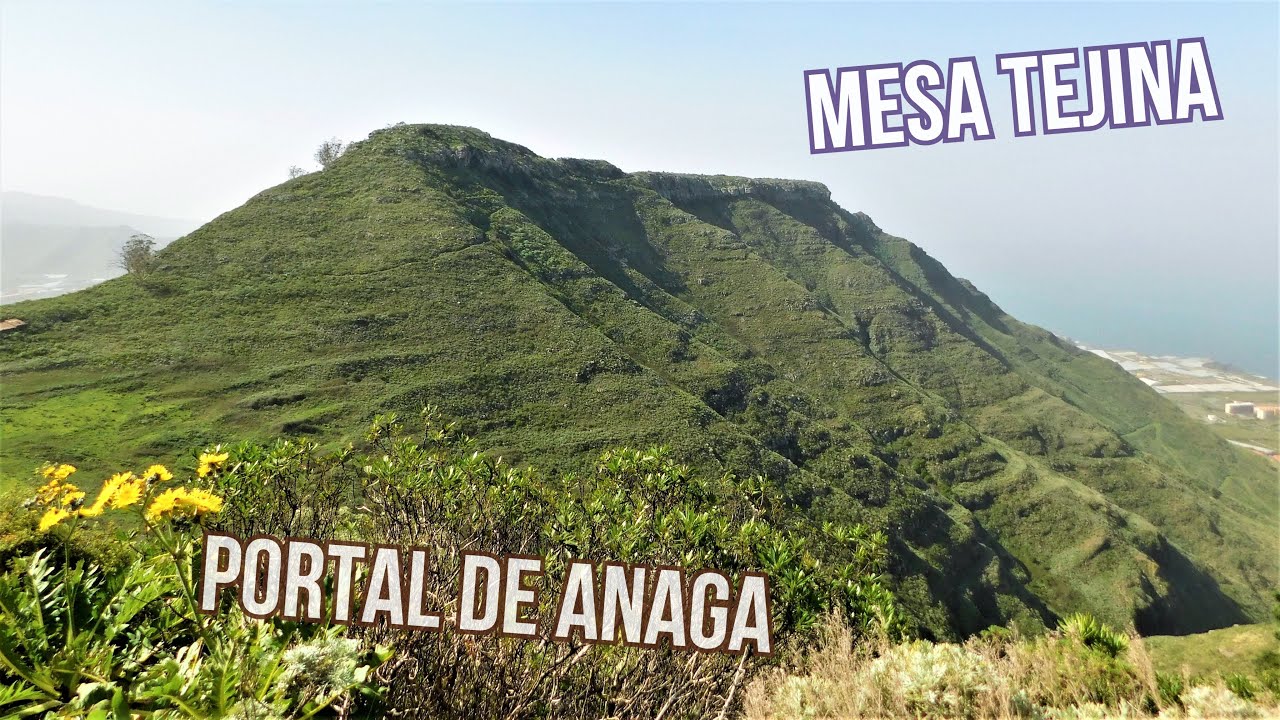 Camino La Orilla - Mesa Tejina - Tegueste, Parque Rural de Anaga. (05/02/2019)
