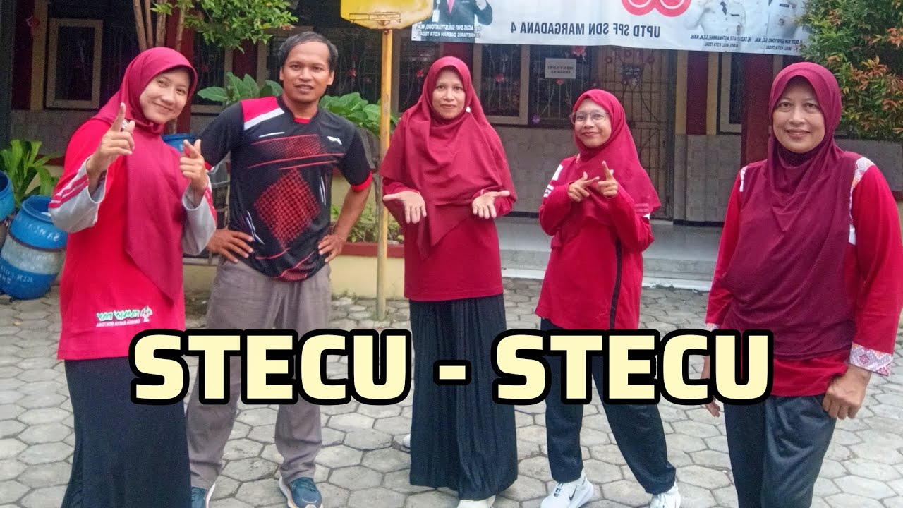 SENAM KREASI || STECU STECU || DJ KALAU COCOK BISA DATANG KE RUMAH || TIKTOK VIRAL