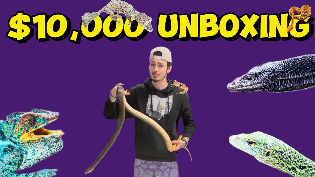 Unreal $10,000 Reptile Unboxing!