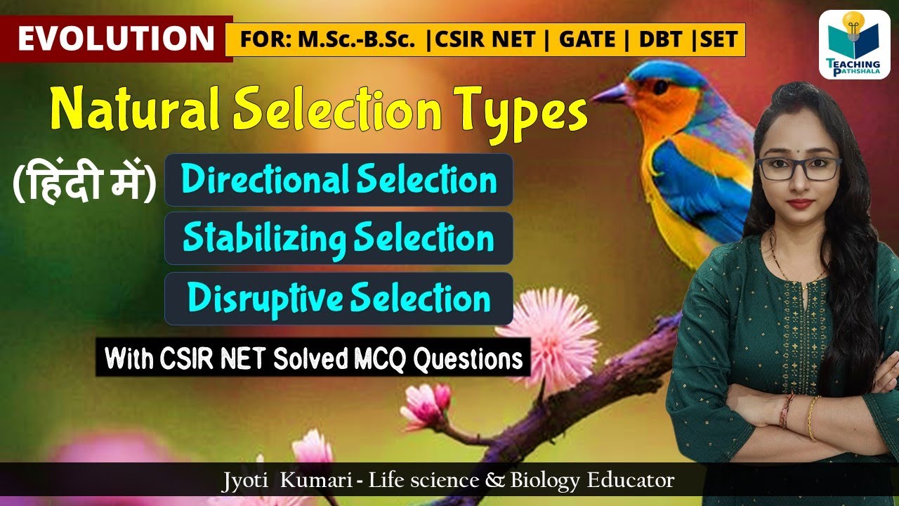 Natural Selection & Its Types | Direction, Stabilizing, Disruptive selection | Evolution || CSIR NET