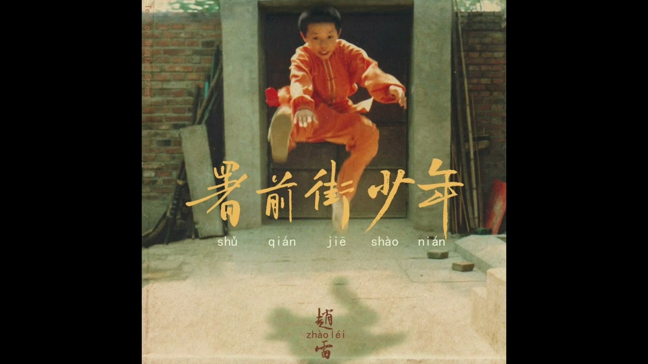 Zhao lei - I Remember