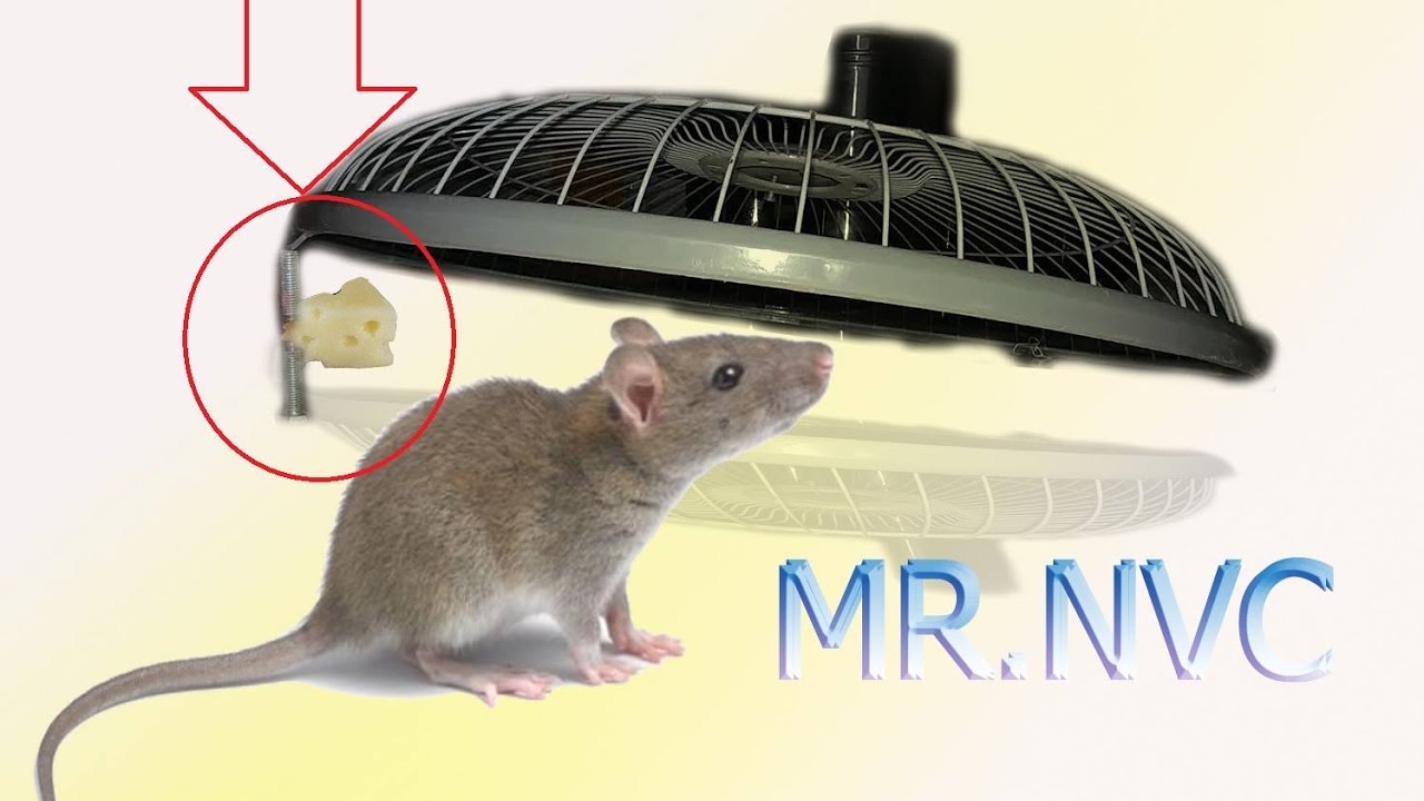 Electric fan guard Mouse Trap and Bird Trap - Amazing Trap 2017