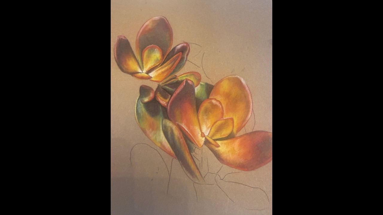Pastel Pencil Succulent Plant