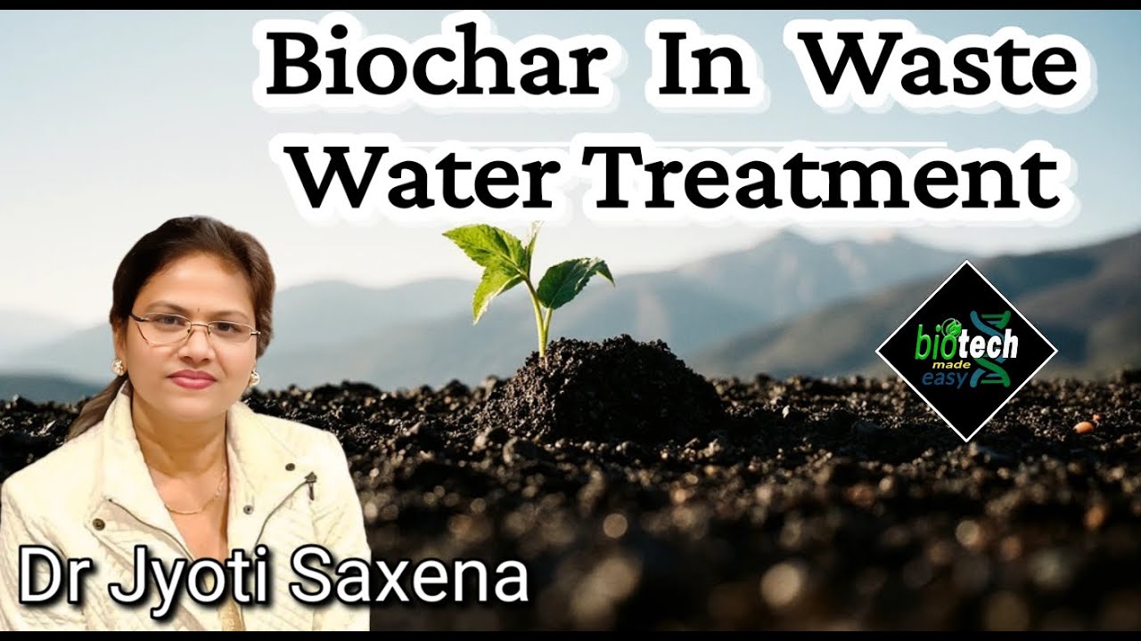 Biochar | wastewater treatment | Biotech Eade Easy |  Biotechnology | Microbiology | Pyrolysis